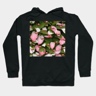 Pretty Flamingo Hoodie